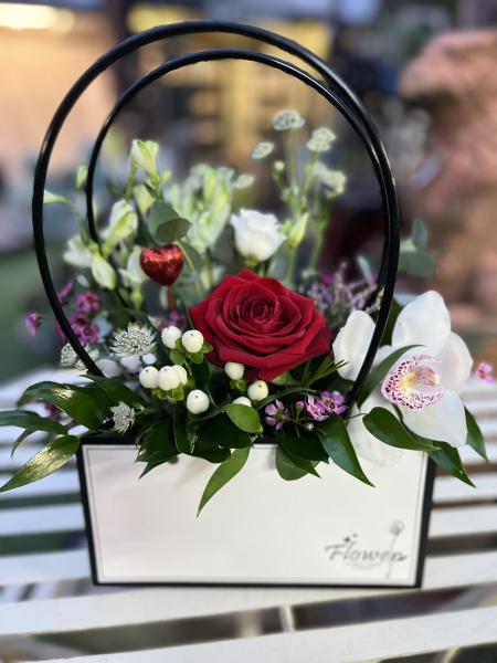 Orchid love exotic passi