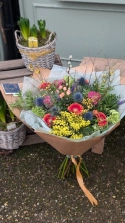 bursts-of-colour
