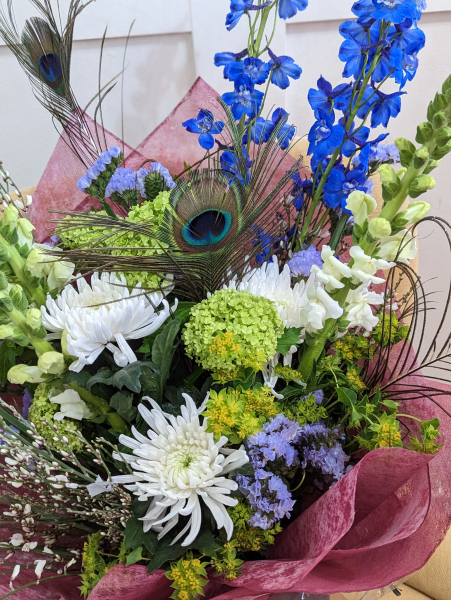 peacock-display