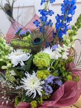 peacock-display