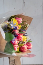 truly-tulip