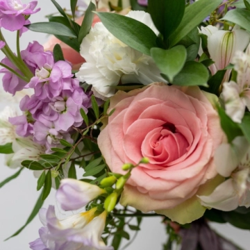 soft-and-delicate