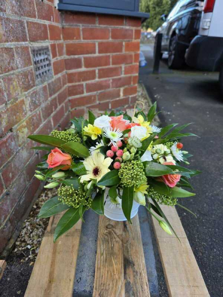 Peach meadow delight