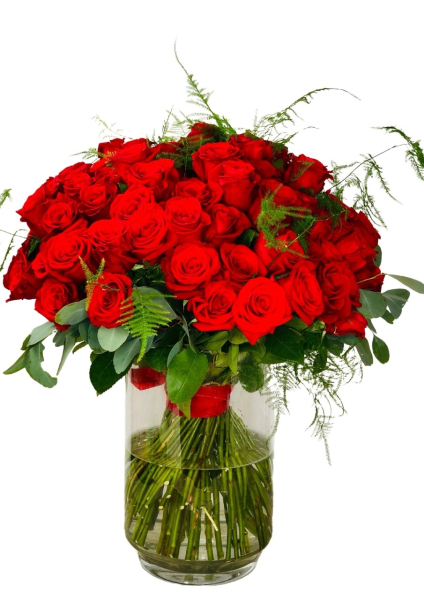 Luxury red rose