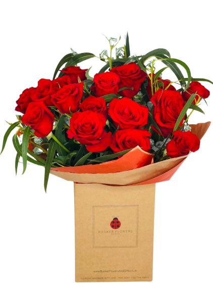 Devoted red roses
