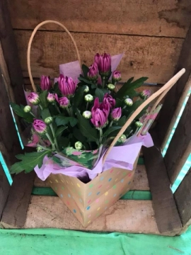 chrysanth-gift-bag