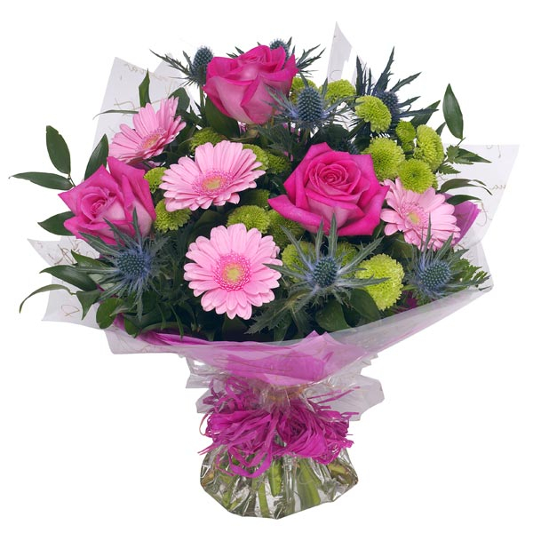 Classic pinks