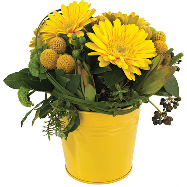 Sunshine yellow