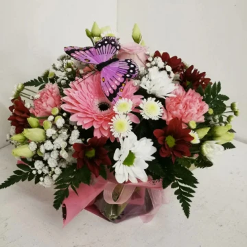 butterfly-posy