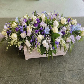 blue-and-white-3ft-spray