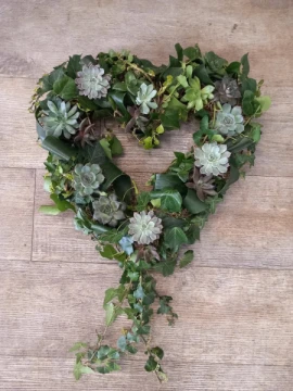 15-succulent-heart