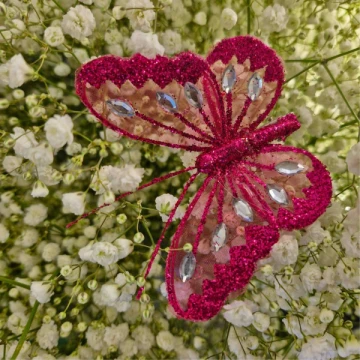 add-on-butterfly