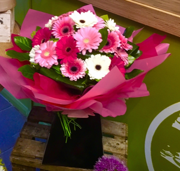 gerbera-handtie