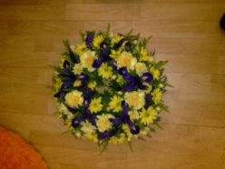 purple-yellow-posy