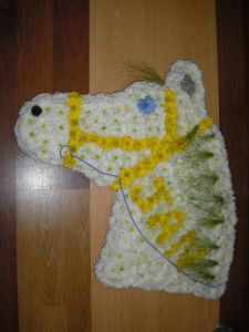 horse-head