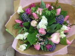 spring-has-sprung