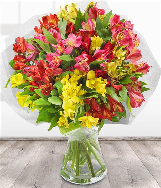 simply-alstroemeria