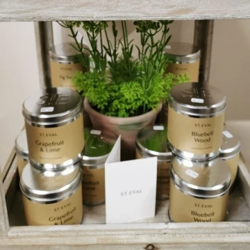 st-eval-candles