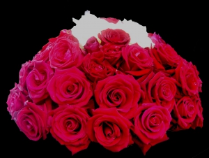 funky-rose-dome
