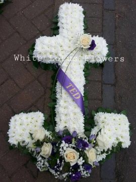 anchor
