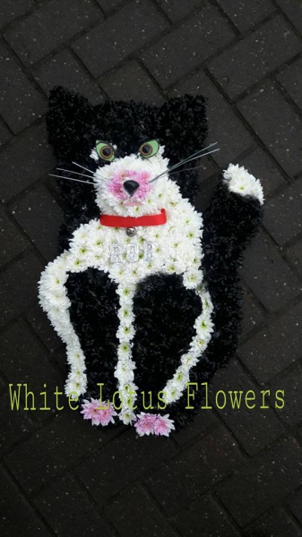 cat-tribute