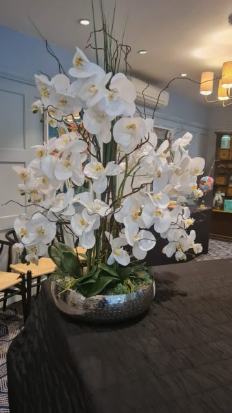 Silk real touch orchids