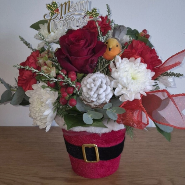 Santa pot