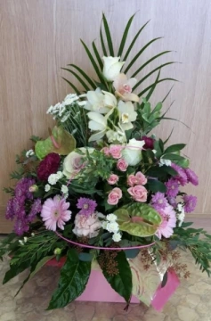 pinks-and-purples