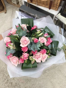 pink-rose-paradise