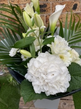 pure-elegant