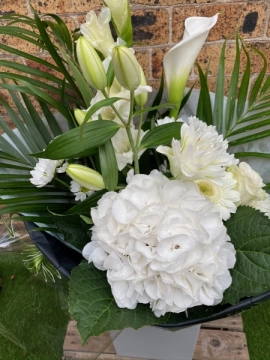 pure-elegant