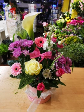 hat-box-arrangment