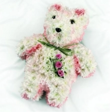 pink-teddy