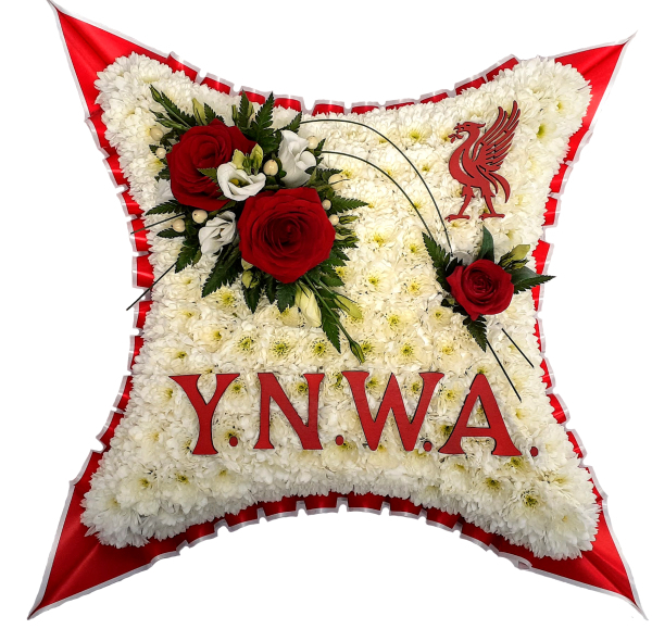 Ynwa cushion