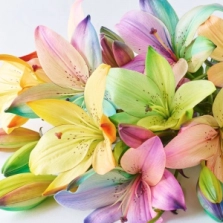 gift-wrapped-bouquet-s
