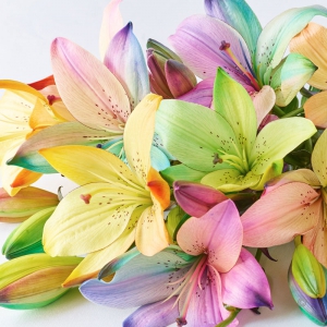 gift-wrapped-bouquet-s
