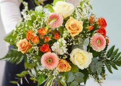 rose-gerbera