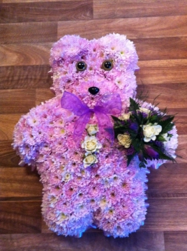 teddy