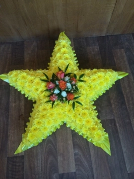 star-tribute