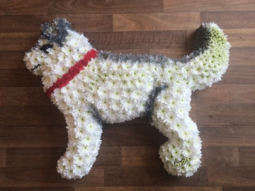 dog-tribute