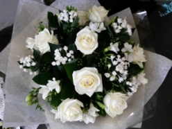 snow-white