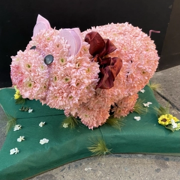 pig-design-tribute