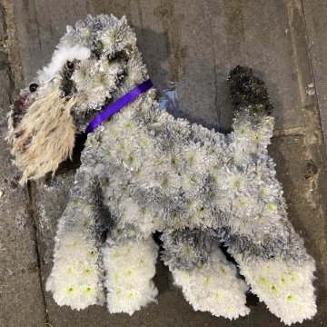 dog-funeral-tribute