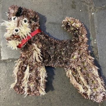 dog-lovers-tribute