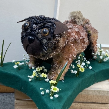 pug-funeral-tribute