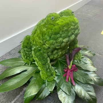 frog-lovers-funeral-tribute