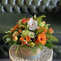 happiness-in-a-hatbox