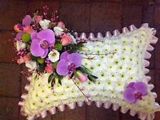 pillow
