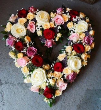 open-heart
