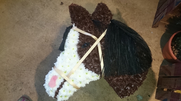 horses-head
